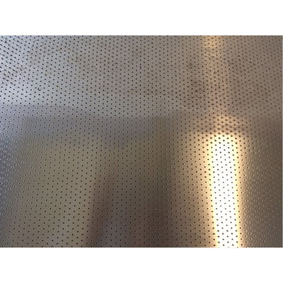 Filtration Drilling Perforated Metal Stainless Steel Screen Sheets/Plates 304 316 316L